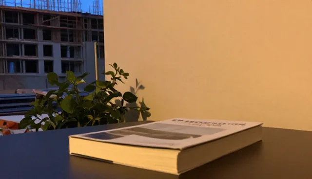 软件项目系统集成问题及处理方向